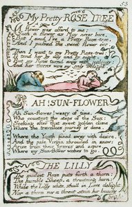 My Pretty Rose Tree, plaat 53 (Bentley 43) uit The Songs of Innocence and of Experience (Bentley copy L) 1789-94 door William Blake